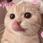 Avatar de Fernando Torres